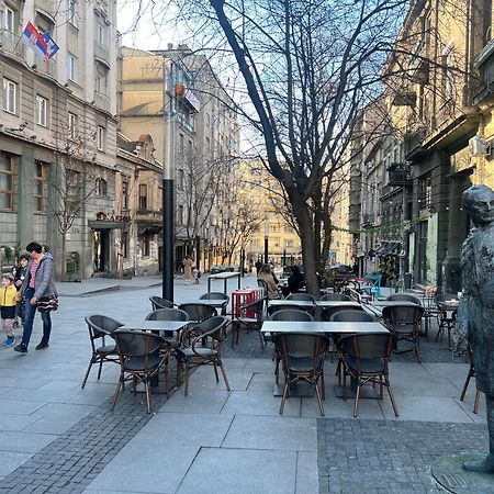 Central Sky View Apartment Belgrad Zewnętrze zdjęcie