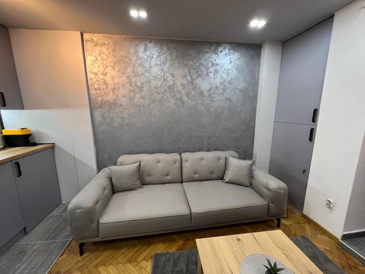 Central Sky View Apartment Belgrad Zewnętrze zdjęcie